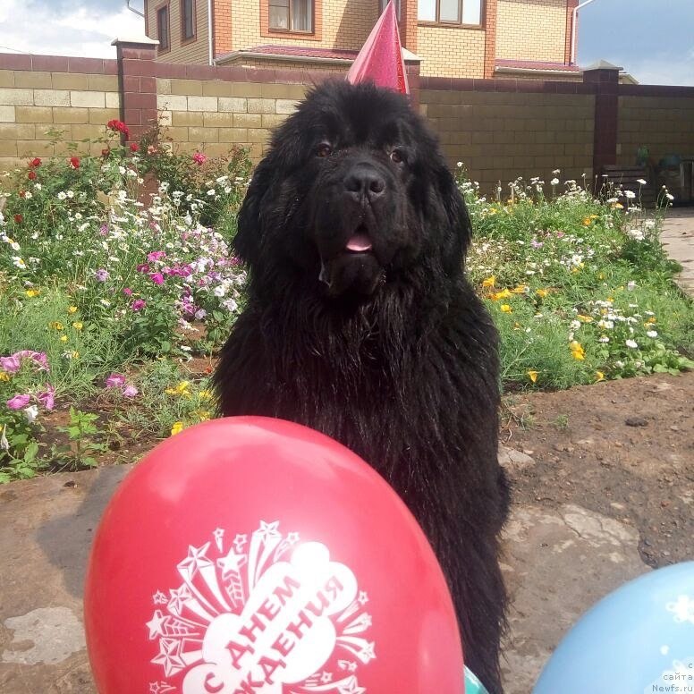 Фотография № 228694