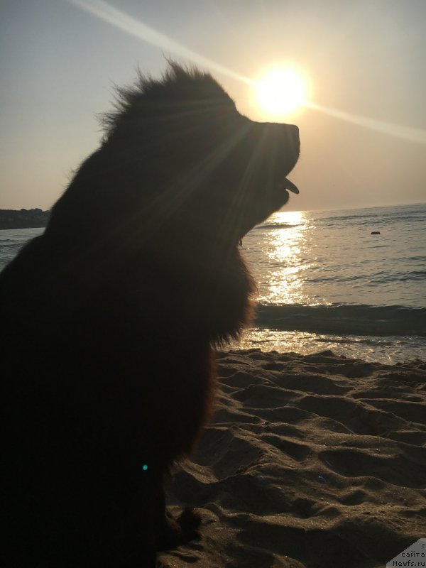 Фотография № 228696