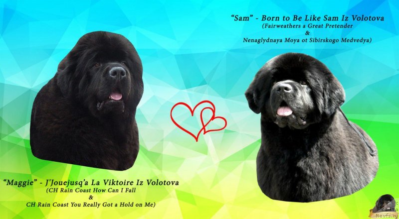 Фотография № 228704