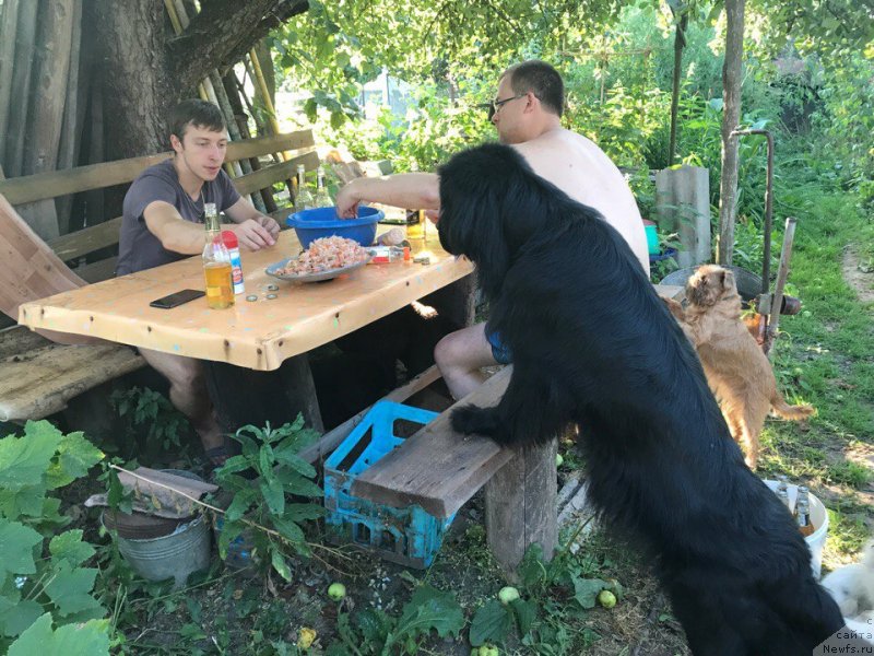 Фотография № 228714