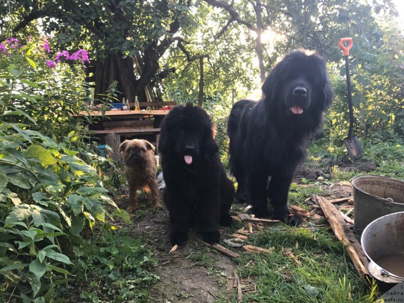 Фотография № 228720