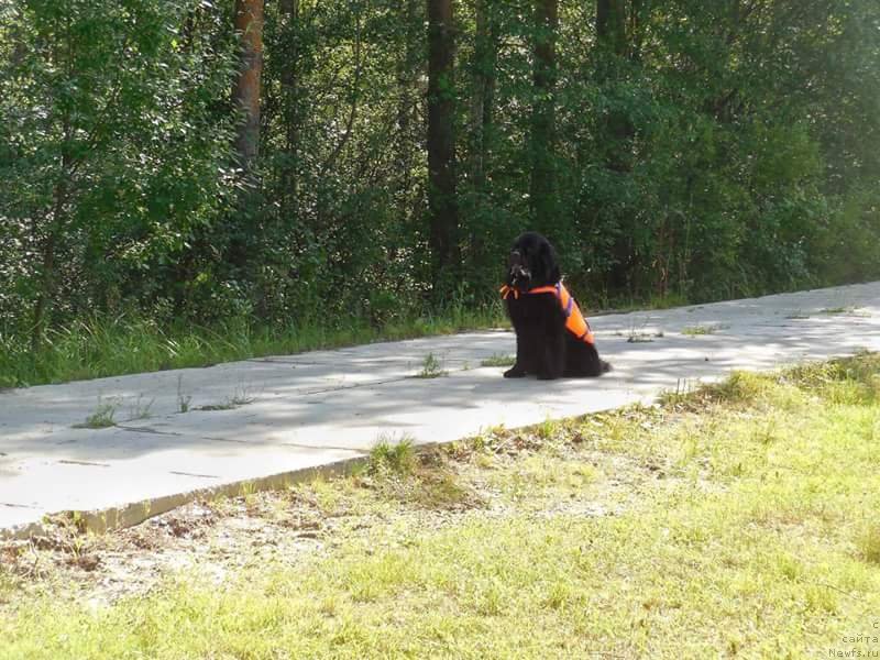 Фотография № 228732