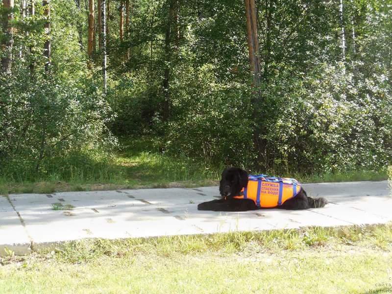 Фотография № 228734