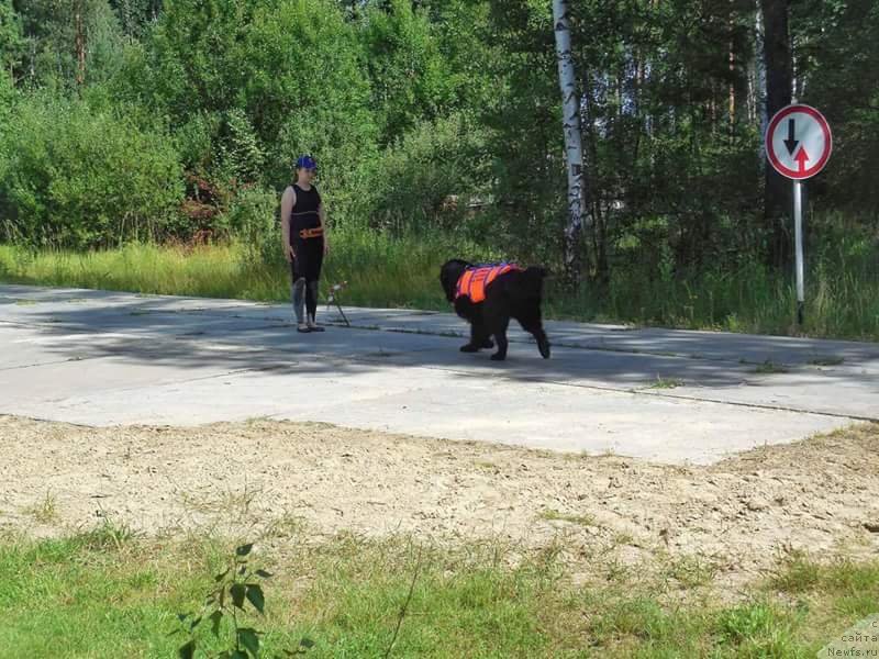 Фотография № 228735