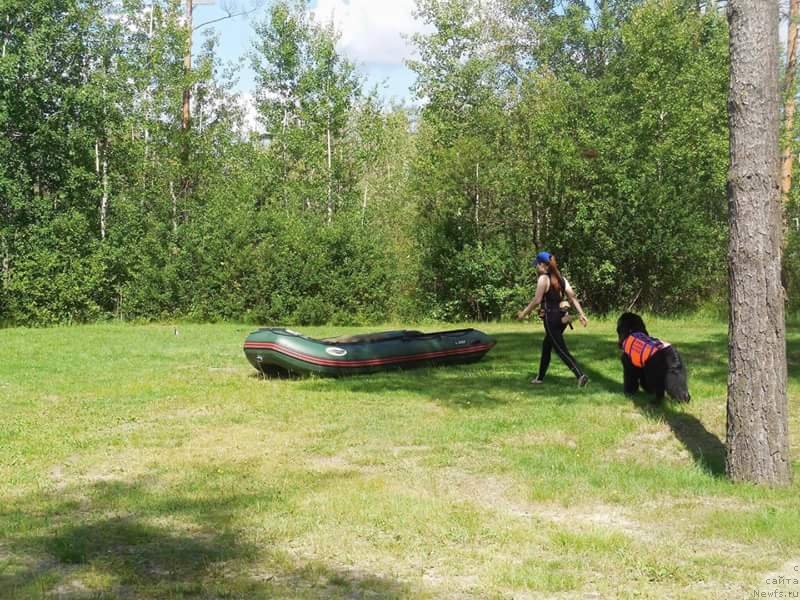 Фотография № 228736