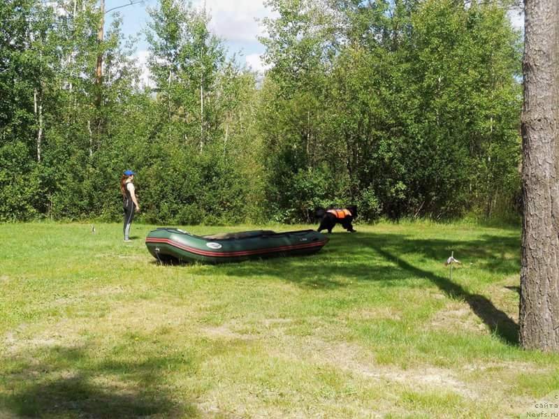 Фотография № 228737