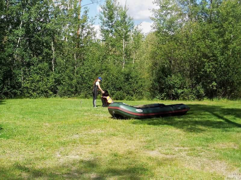 Фотография № 228738