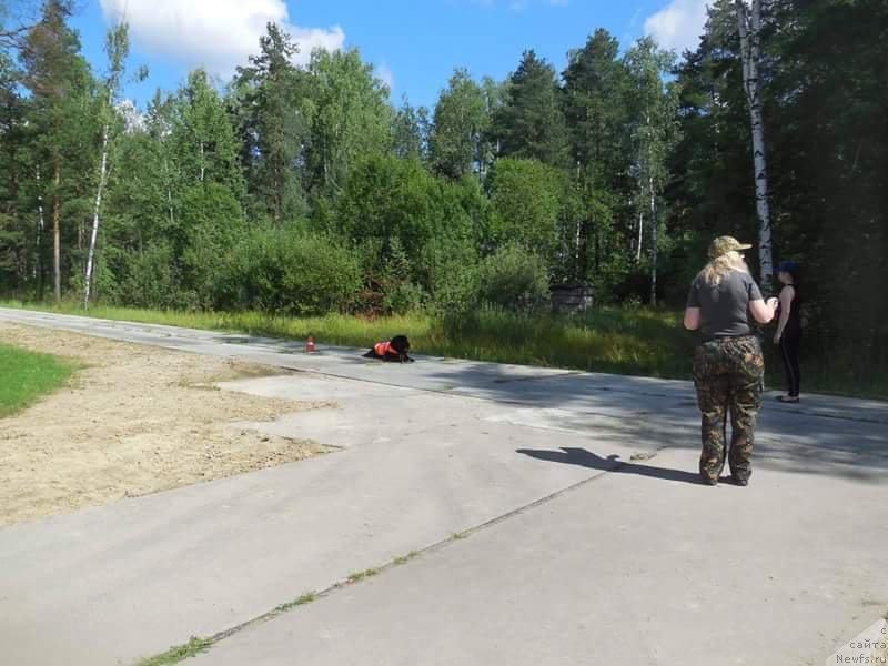 Фотография № 228739