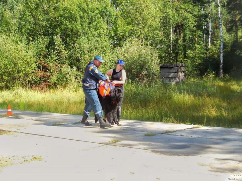 Фотография № 228740