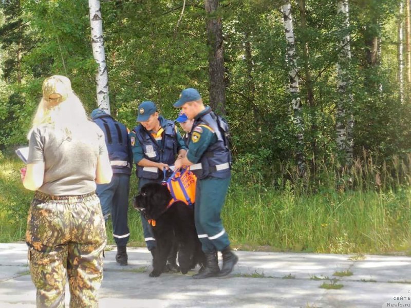 Фотография № 228741