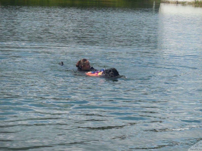 Фотография № 228746