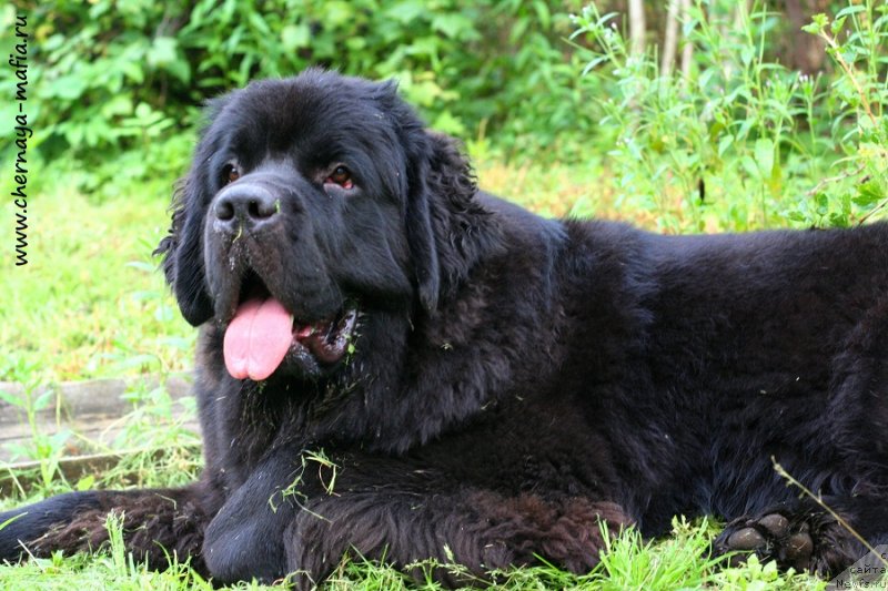 Фотография № 228775