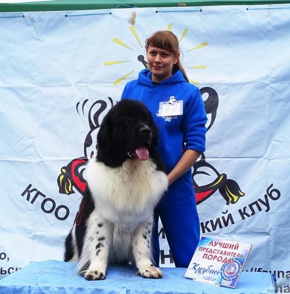 Фотография № 228777