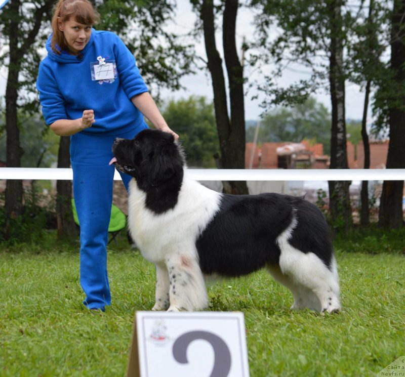 Фотография № 228778