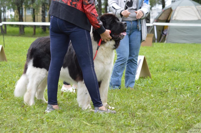 Фотография № 228780