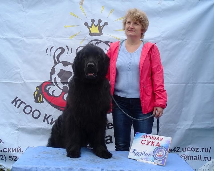 Фотография № 228781