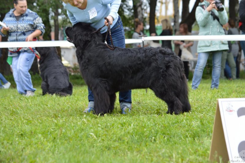 Фотография № 228782