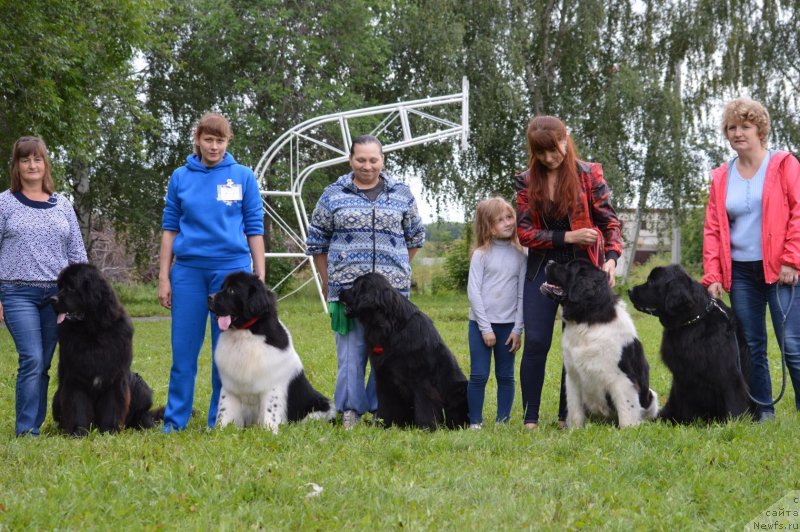 Фотография № 228783