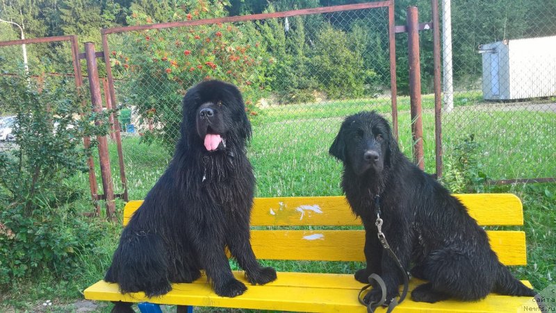 Фотография № 228786