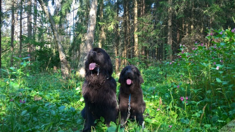 Фотография № 228787