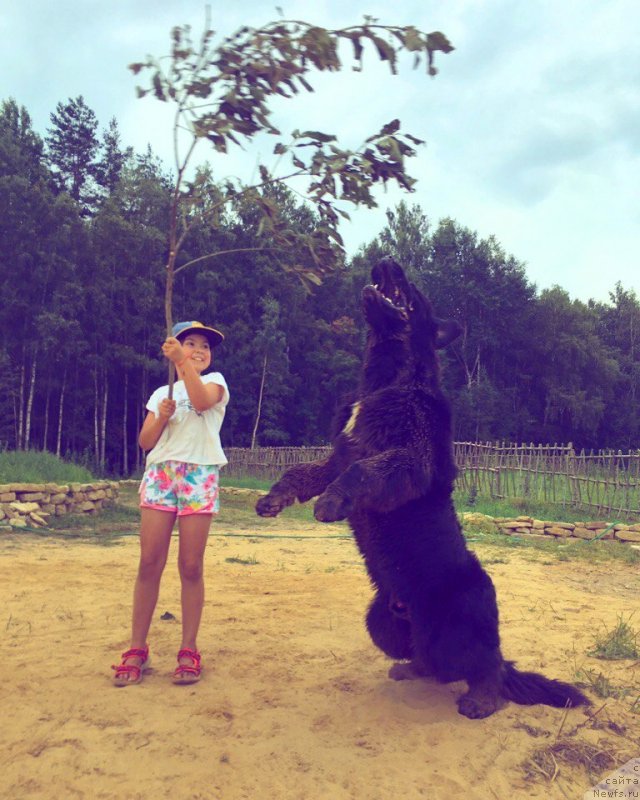 Фотография № 228797