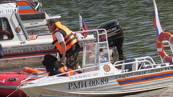 Фото: ньюфаундленд My Frend Newfy' Abigail Miss Churchill