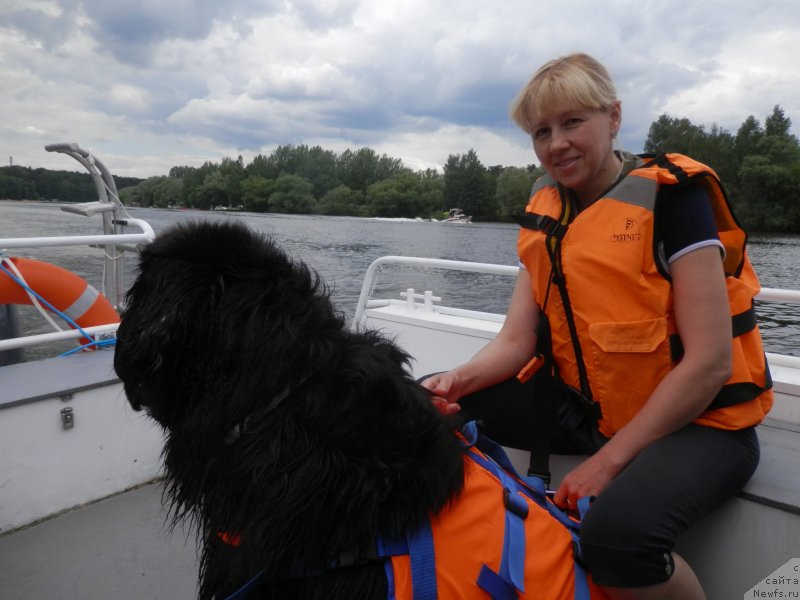 Фото: ньюфаундленд My Frend Newfy' Abigail Miss Churchill