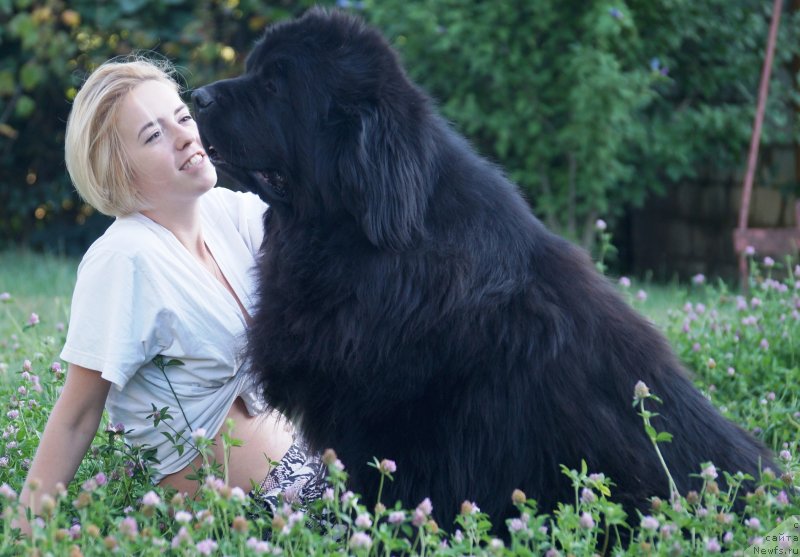 Фотография № 228821