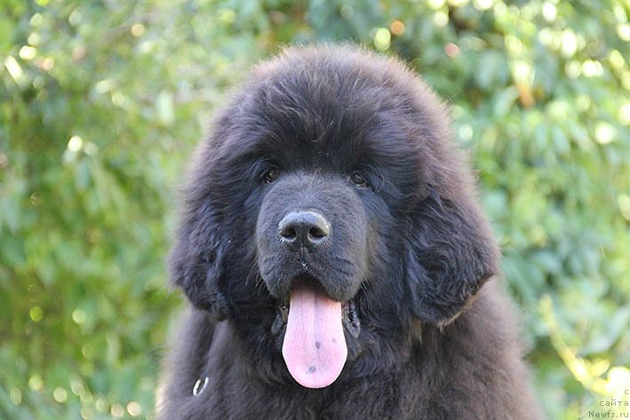 Фотография № 228822