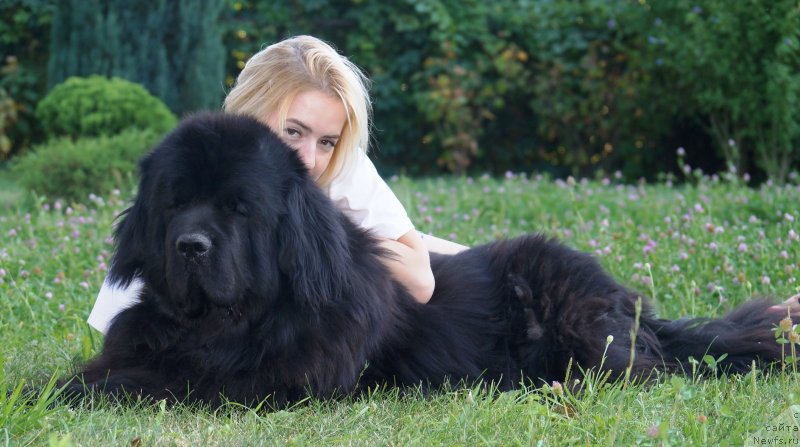 Фотография № 228823