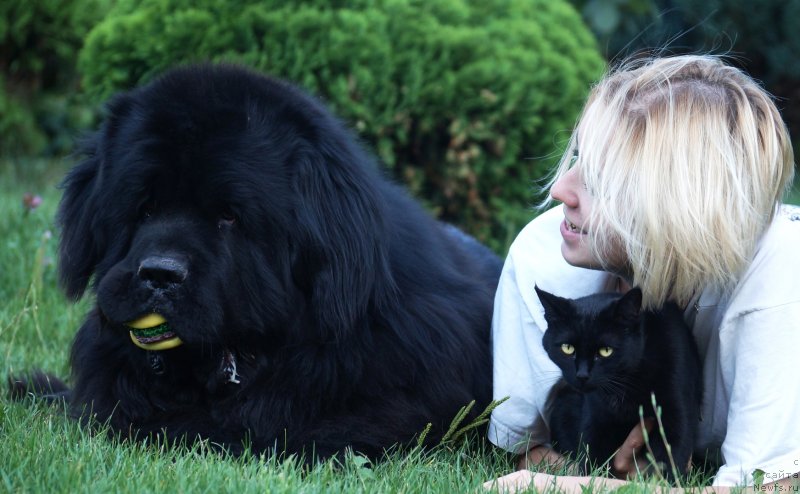 Фотография № 228826