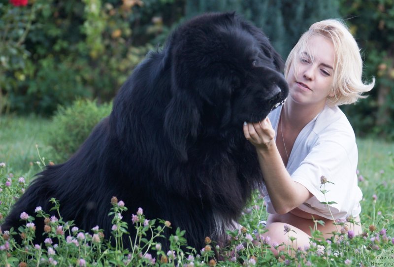 Фотография № 228829