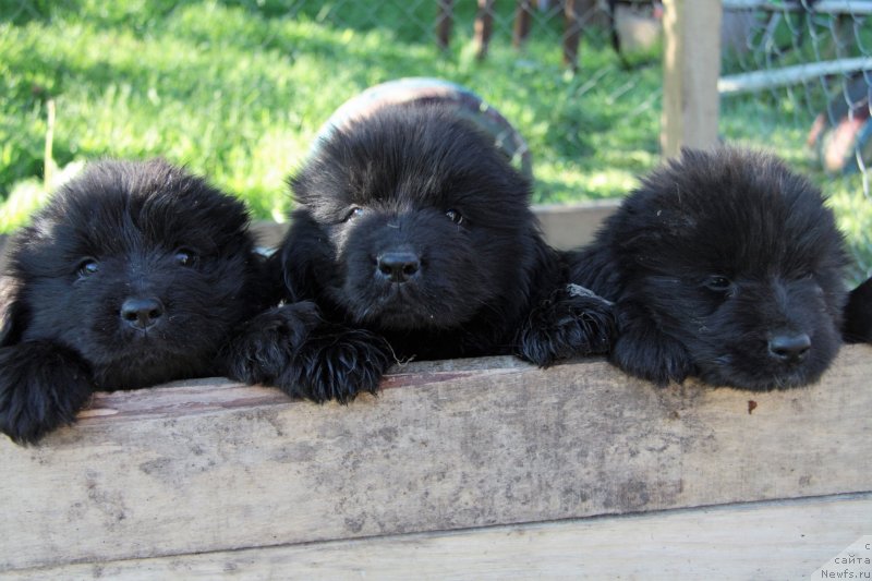 Фотография № 228843