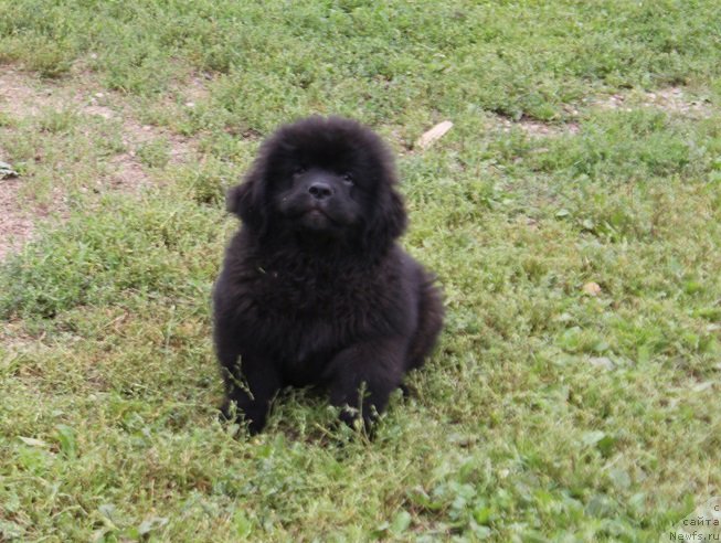 Фотография № 228865