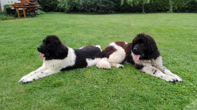 Фотография № 228866