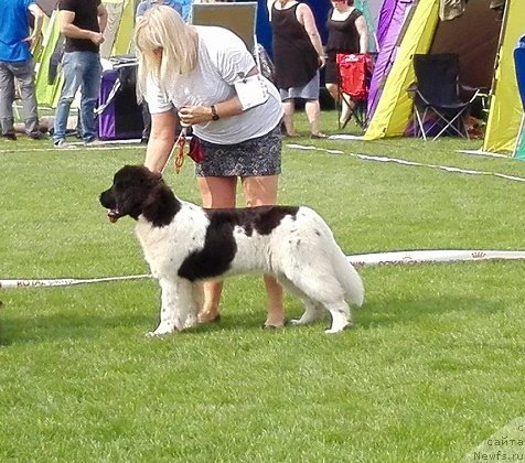 Фотография № 228868