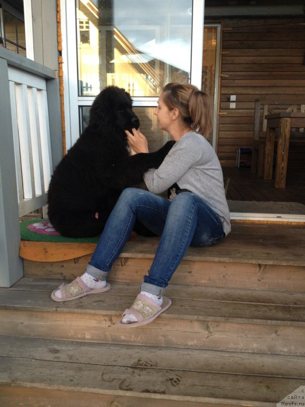 Фотография № 228869