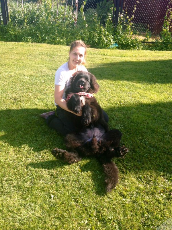 Фотография № 228870