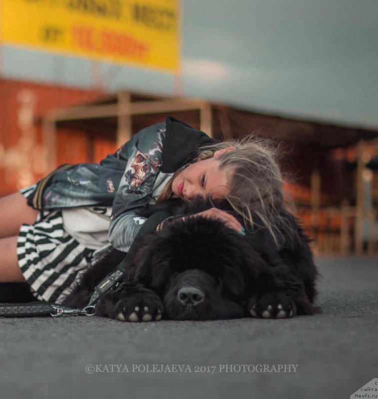 Фотография № 228880