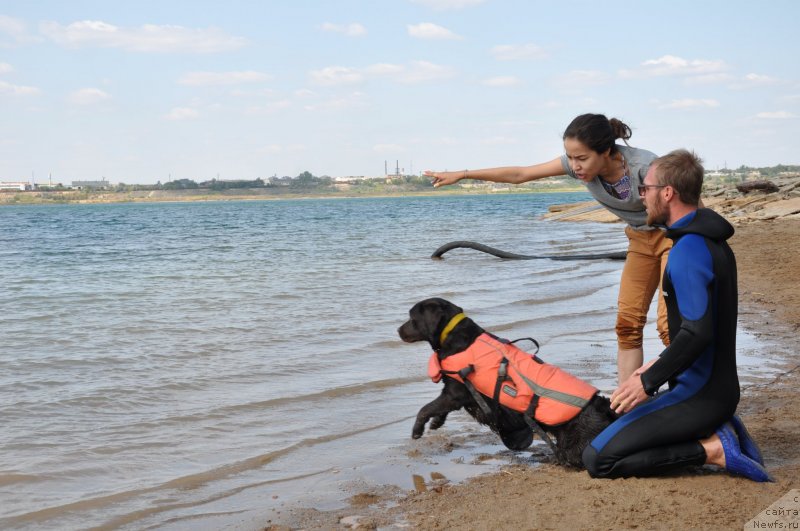 Фото: Aleksandr Fayzulin (Александр Файзулин)