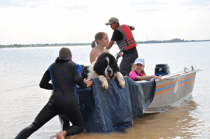 Фотография № 228934