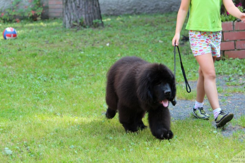 Фотография № 228955