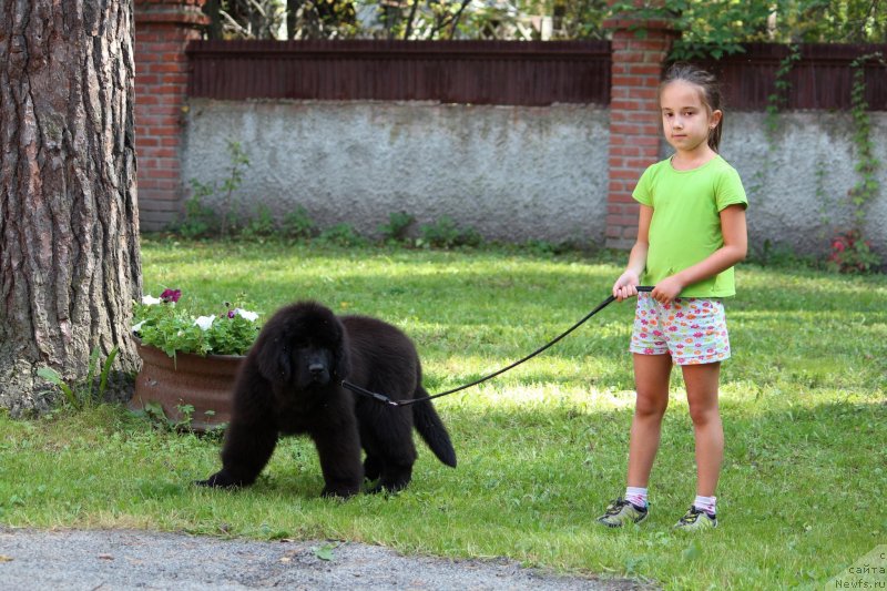 Фотография № 228957