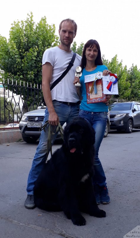 Фотография № 228969