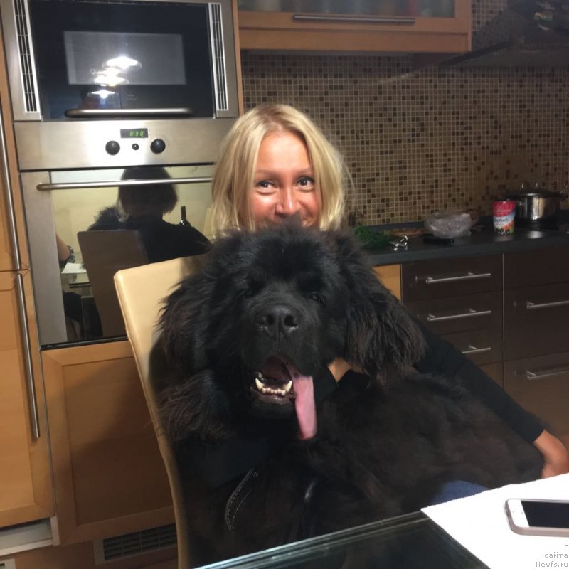 Фотография № 228973