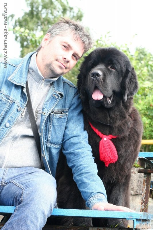 Фотография № 229014