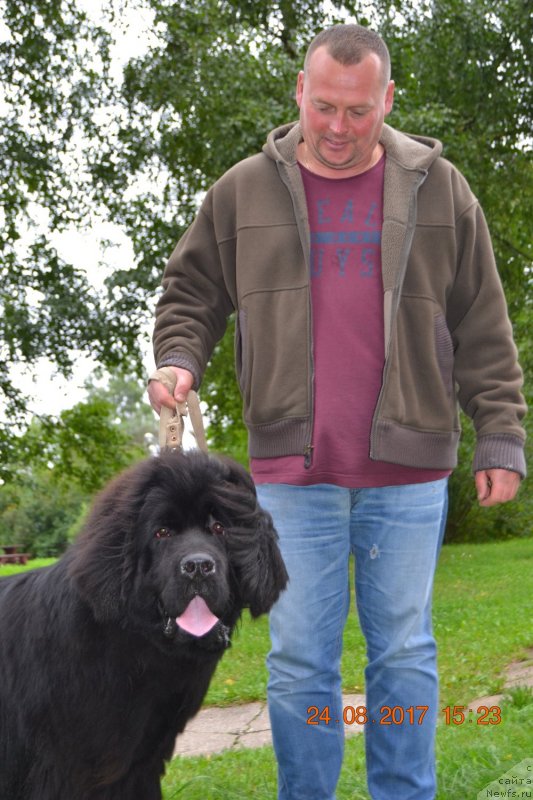 Фотография № 229044