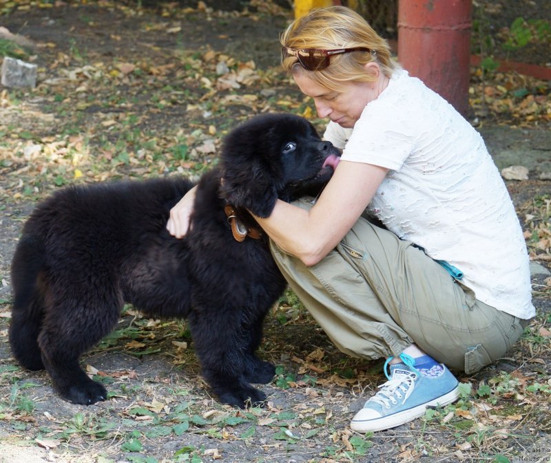 Фотография № 229048