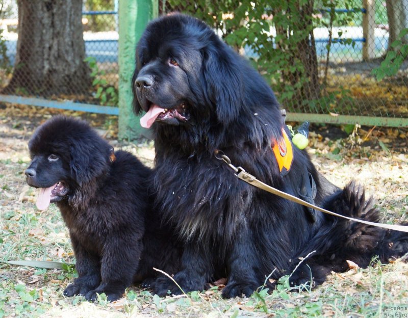 Фотография № 229051