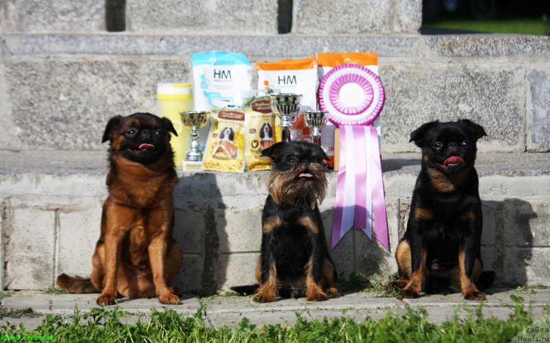 Фотография № 229152